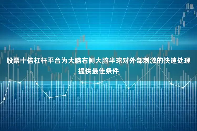 股票十倍杠杆平台为大脑右侧大脑半球对外部刺激的快速处理提供最佳条件