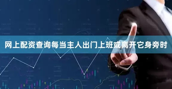 网上配资查询每当主人出门上班或离开它身旁时